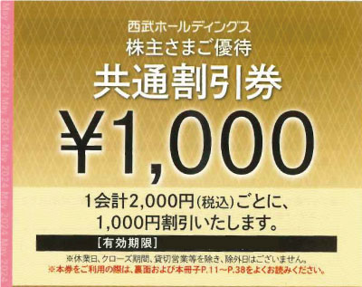 西武ホールディングス 株主優待券 共通割引券 1,000円